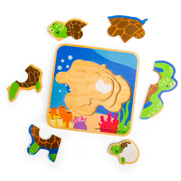 Puzzle Životní cyklus želvy Puzzle Životní cyklus želvy