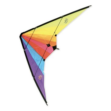 V2947.kite.jpg