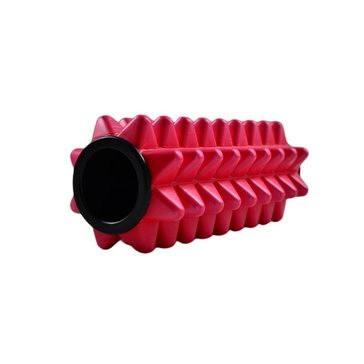 12922-1_masazni-valecek-mini-roller-1.jpg?608d3d76