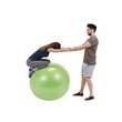 13066-3_physio-gymnic-plus-gymnasticky-mic-2.jpg?617eea86