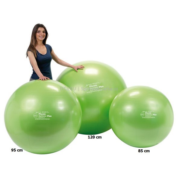 13066_physio-gymnic-plus-95-cm-gymnasticky-mic.jpg?617eea79