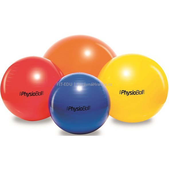 5551-2_physioball-standard-ledragomma-1.jpg?5ec91948