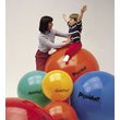 5551_mic-ledragomma-physioball.jpg?5ec91948