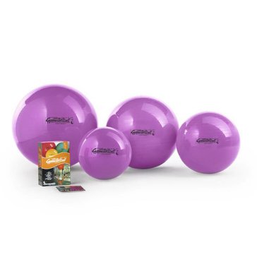 5578-2_gymnastikball-65-cm-ledragomma.jpg?5ec91948