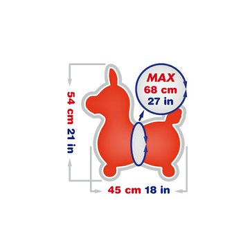 6478-11_rody-konik-zviratko-gymnic-velikost.jpg?5ec91948