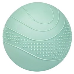 7798-1_toning-ball-heavymed-zatezovy-mic-1-kg.jpg?5ec91948