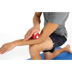 7810-5_body-bone-togu-valecek-trigger-points-2.jpg?5ec91948