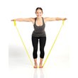 8443-1_posilovaci-odporova-cvicebni-guma-thera-band-theragym-band-aerobic-band-1.jpg?5f0ae1db