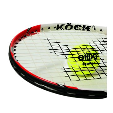 8602_pro-386-566-tenisova-raketa-1.jpg?629f49e0