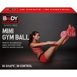 8740-1_rehabilitacni-cvicebni-mic-body-ruzovy-2.jpg?5ec91948