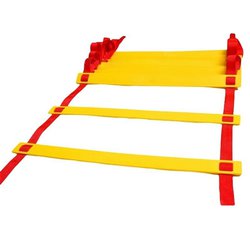 901-4_zebrik-agility-frekvencni-10-5-m-2-sektory.jpg?60731504