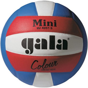 9391-1_volejbalovy-mic-gala-pro-line-mini-bv-4051-s.jpg?5f671ddd