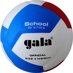 9574-1_volejbalovy-mic-gala-school-12-panelu-bv-5715-s.jpg?65ac146a