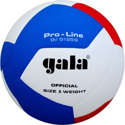 9598_volejbalovy-mic-gala-pro-line-12-panelu-bv-5125-s.jpg?65ac1a7c