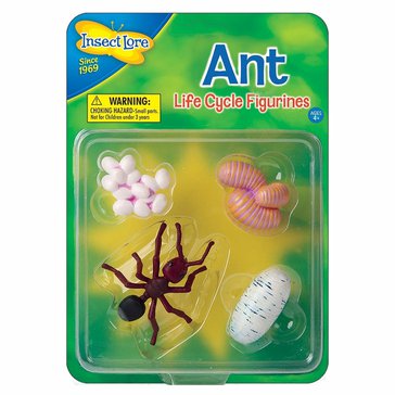 cycle_ant_packaging.jpg