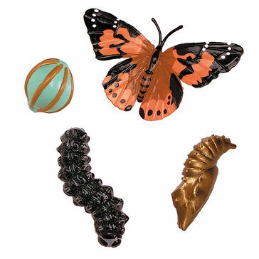 cycle_butterfly_2.jpg