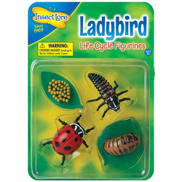 cycle_ladybird_packaging.jpg