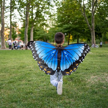 04810_Blue_Morpho_Wings_1.jpg