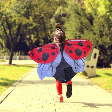 04900_Ladybird_Wings.jpg