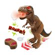37293-DINO-CONTENU-2.jpg