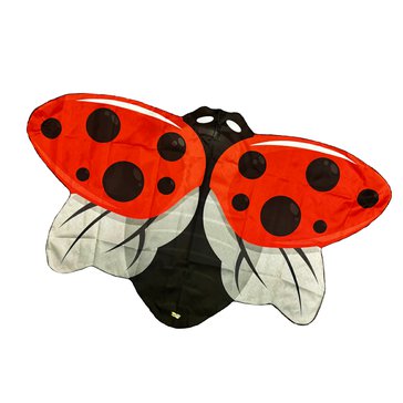 Ladybird_Wings_3.jpg