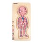 tve-telo-chlapec- puzzle-o-stavbe-lidskeho-tela-A17170_7.jpg