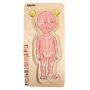tve-telo-divka- puzzle-o-stavbe-lidskeho-tela-A17160_10.jpg