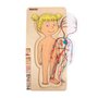tve-telo-divka- puzzle-o-stavbe-lidskeho-tela-A17160_17.jpg