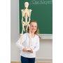 Model kostry pro děti - 80 cm, z nerozbitného plastu