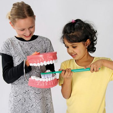 Velký model zubů s kartáčkem - pro nácvik čištění