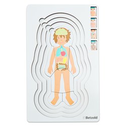 Vrstvené puzzle "Anatomie“ chlapec - 28 dílů, dřevěné