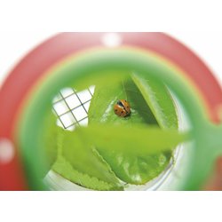Velká nádoba s lupou - k pozorování a přenosu hmyzu