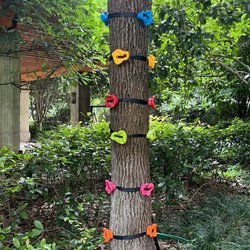 lezecke-uchyty-s-popruhy-na-strom-12 ks.jpg