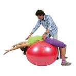 body-ball-gymnic-65cm-cvicebni-mic-k1254-2.jpg