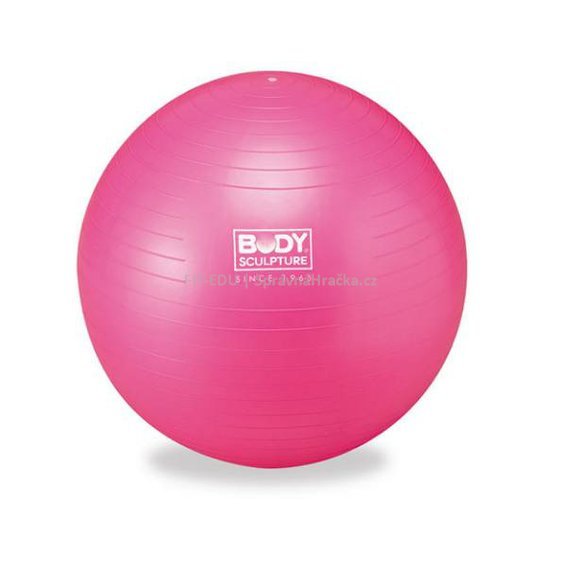 Gym Ball PINK a BLUE 65 cm - míč na cvičení, k sezení, a  aktivní relaxaci