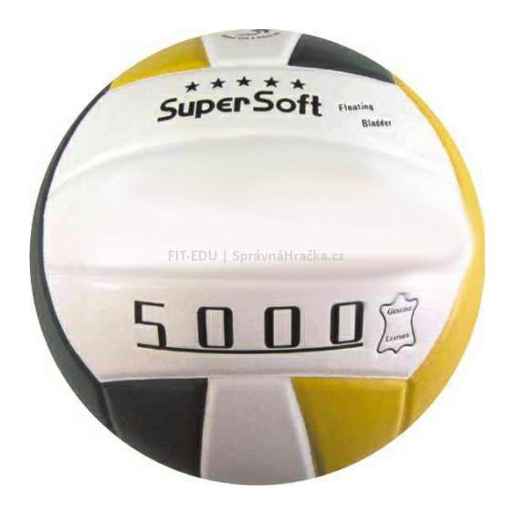 Volejbal STANDARD L 5000 - lepený kožený míč nejvyšší kvality