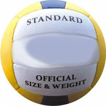 Volejbal STANDARD šitý - míč ze syntetické kůže