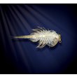 Aqua-Dragons-Vodni-dracci-Akvarium-s-LED-osvetlenim-J2W4003_6
