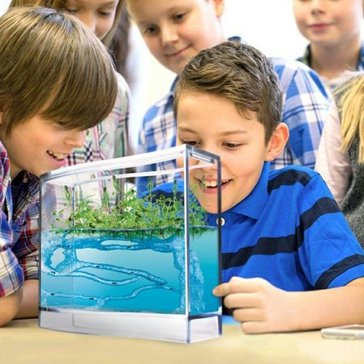 Forest-Ant-LEDized-Antquarium-Gelove-mravenci-akvarium-s-ledpodsvicenim-J2AQFZL_01