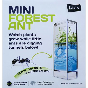 Forest Ant Mini Antquarium - na mravence, květiny