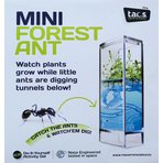 Forest-Ant-Mini-Antquarium-male-prenosne-gelove-akvarium-pro-studium-mravencu-J2MKF_2.jpg