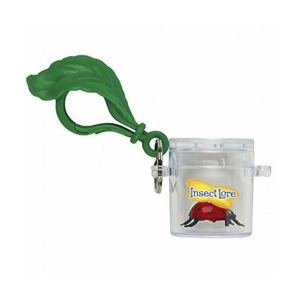 Krabička na brouky s klipem - pro malé přírodovědce