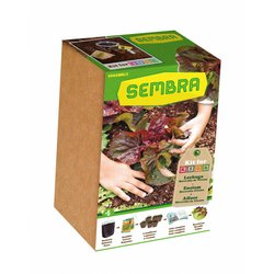 Moje první zahrádka "Salát" - sada pro pěstování zeleniny