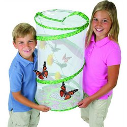 Motýlí pavilón (10 housenek) "Butterfly Pavilion" - sada pro chov motýlů