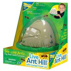 Mraveniště "Anthill" - umělé mraveniště navržené stejně jako skutečné
