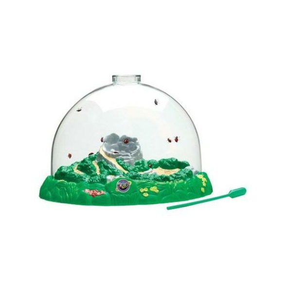 Svět brouků "Bug Land" - uzavřený domeček pro brouky