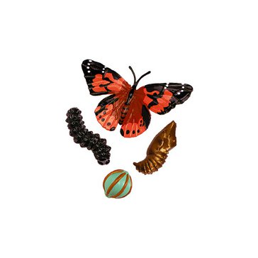 Životní cyklus "Motýl" - model s vývojovými stádii