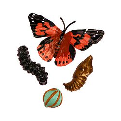 Životní cyklus "Motýl" - model s vývojovými stádii