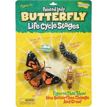 Životní cyklus "Motýl" - model s vývojovými stádii