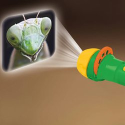 Dětský ruční foto-projektor "Nebezpečný hmyz"a kapesní svítilna